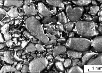 PGM-concentrate-dredge-138-Kaurchak-River-Gornaya-Shoria-The-concentrate-composition